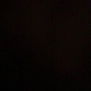 Meet your Posher, Cheyenne